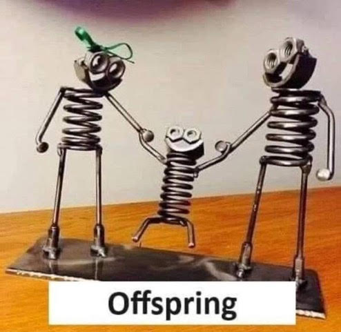 off spring.jpg