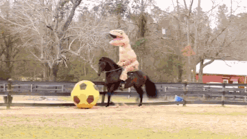 oFoqI0r.gif