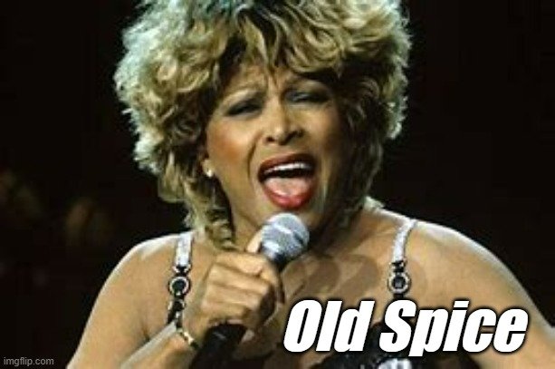 Old Spice Tina Turner.jpg