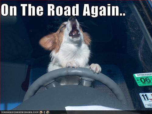 on-the-road-again.jpg