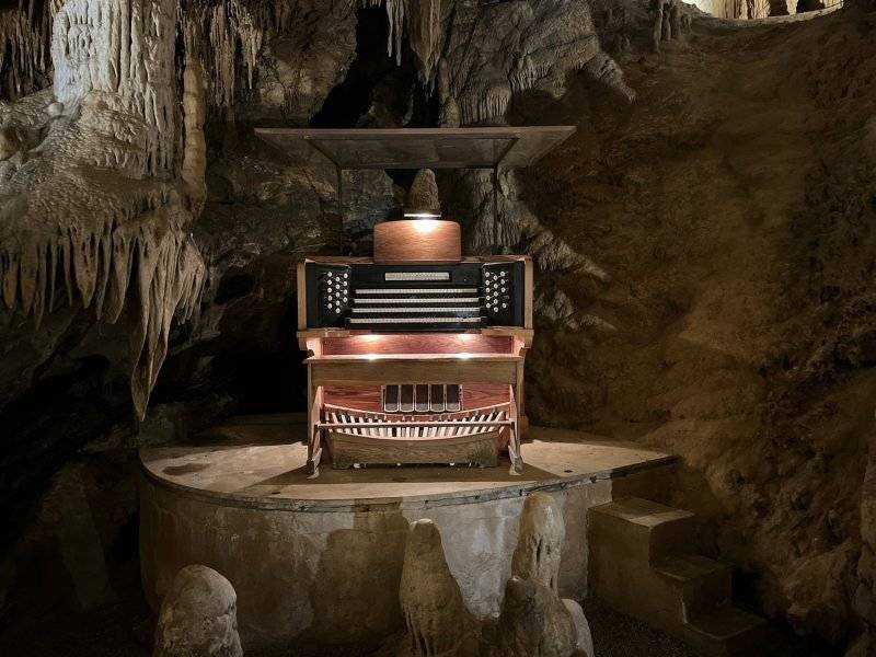 Organ.jpg