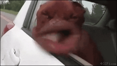 original.gif