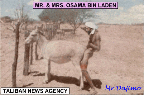 osama.gif