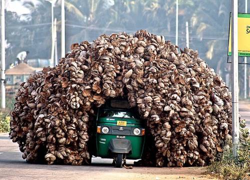 overloaded-truck7.jpg