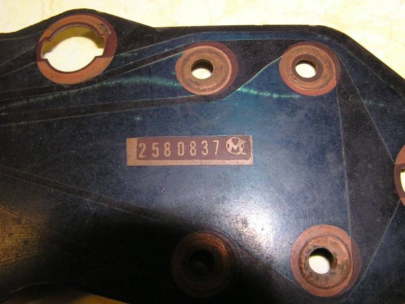 P1010021.JPG