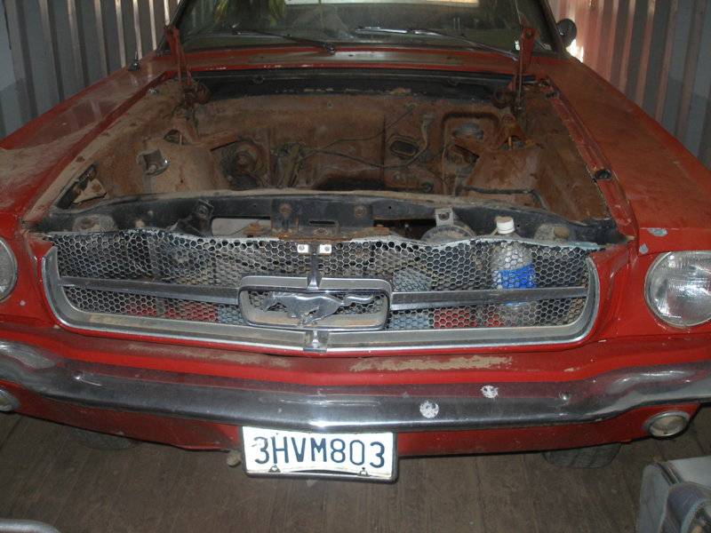 P1010021.JPG