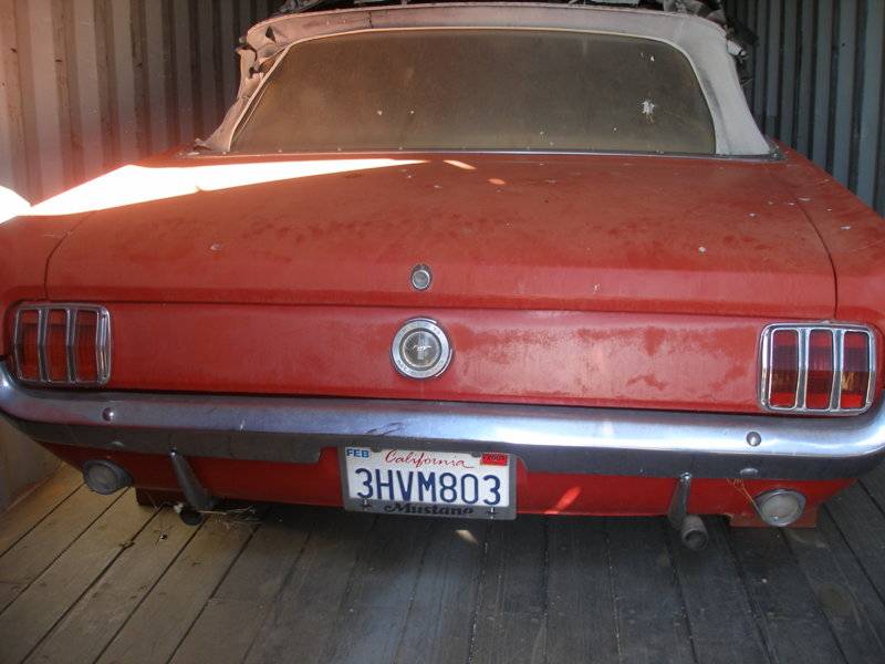 P1010026.JPG