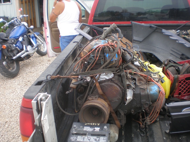 P1010034dc.JPG