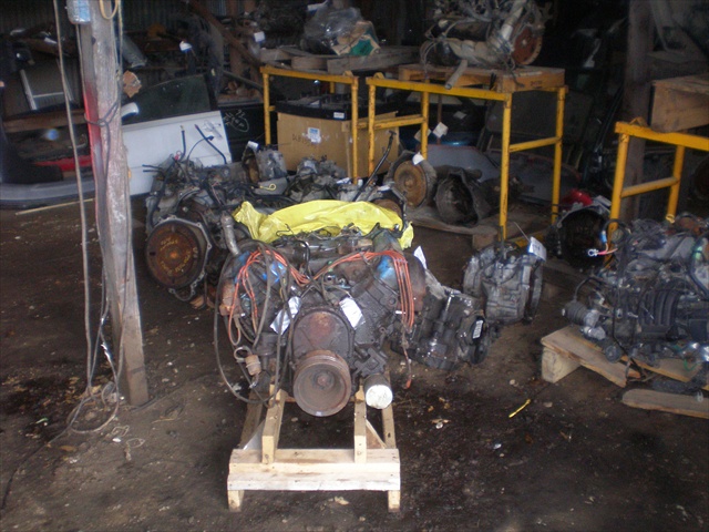 P1010040dc.JPG