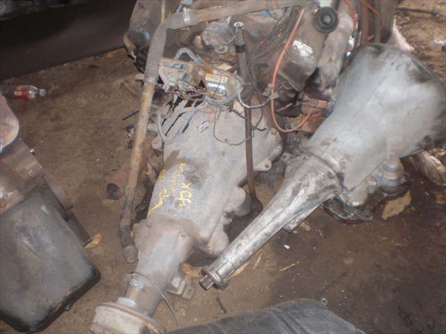 P1010043dc.JPG