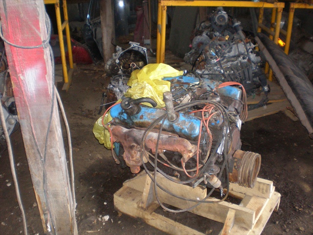 P1010047dc.JPG