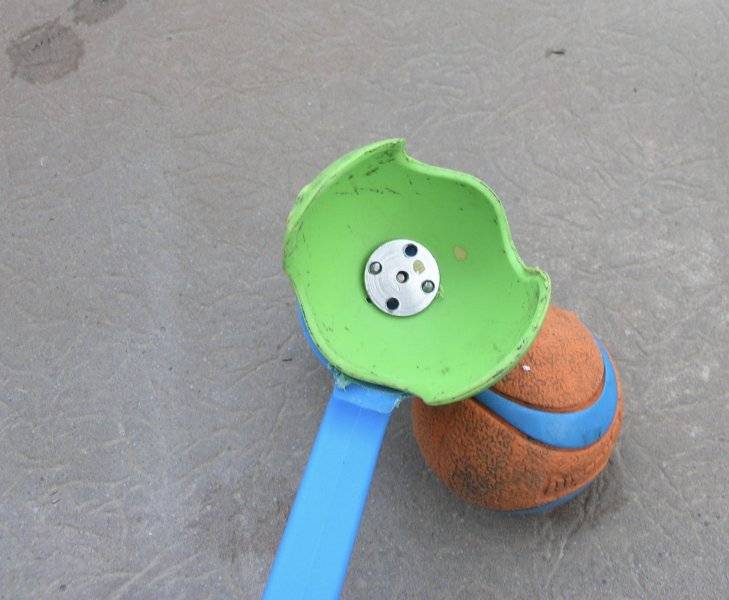 P1017858.JPG