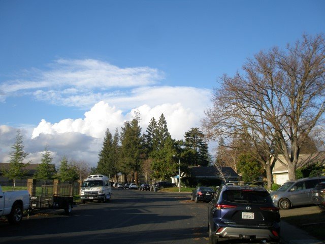 P1030010 (Small).JPG