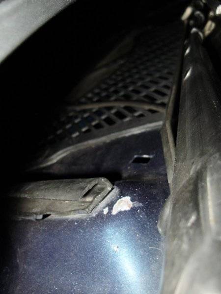 P1070081a.jpg