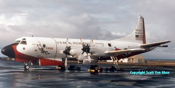 p3ina2.jpg