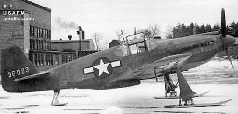 P51a-ski.jpg