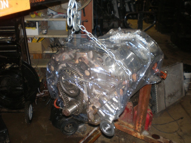 P6290004dc.JPG