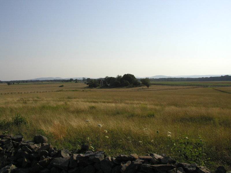 P7160128.JPG