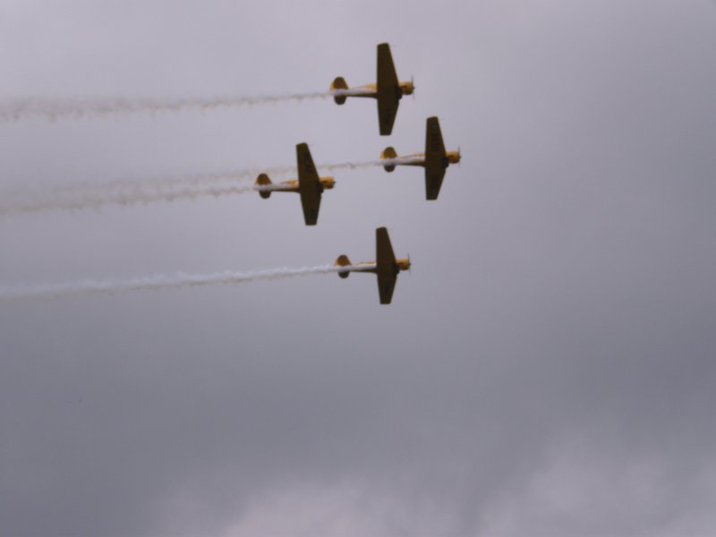 P7240124_01.JPG