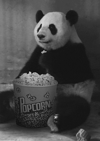 panda popcorn.gif