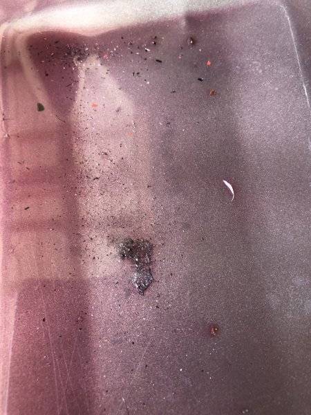 panning for gold.jpeg
