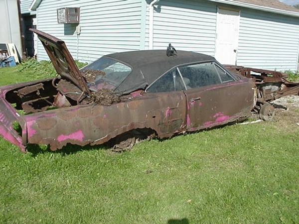 panther pink Coronet.jpg