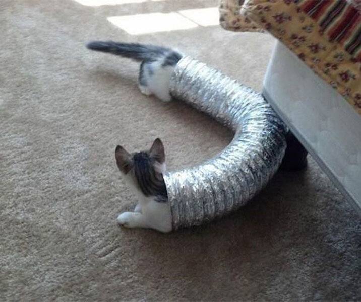 perfectly-timed-photos-30.jpg