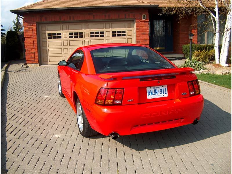 performance_red_2001_mustang_svt_cobra_5-800-600.jpg