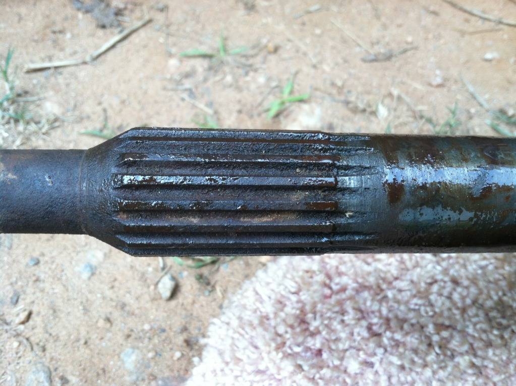 photo17.jpg