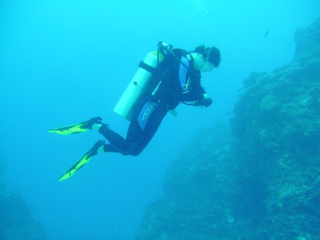 PICT0005.JPG