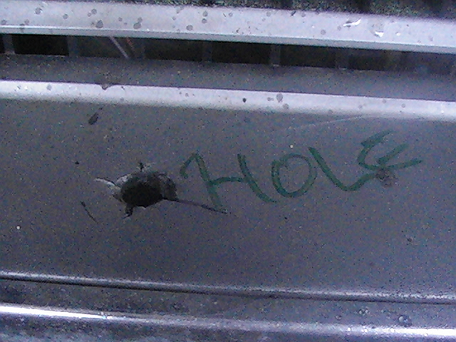 Picture 134.jpg