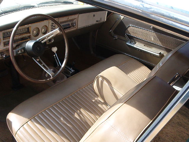 Picture 4160.jpg