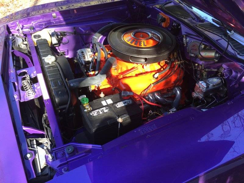 plum cuda motor.jpg