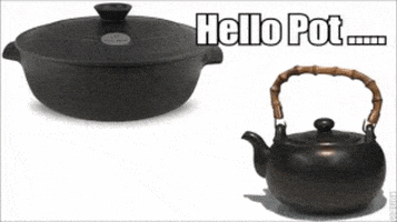Pot calling the kettle black Hypocrisy.gif