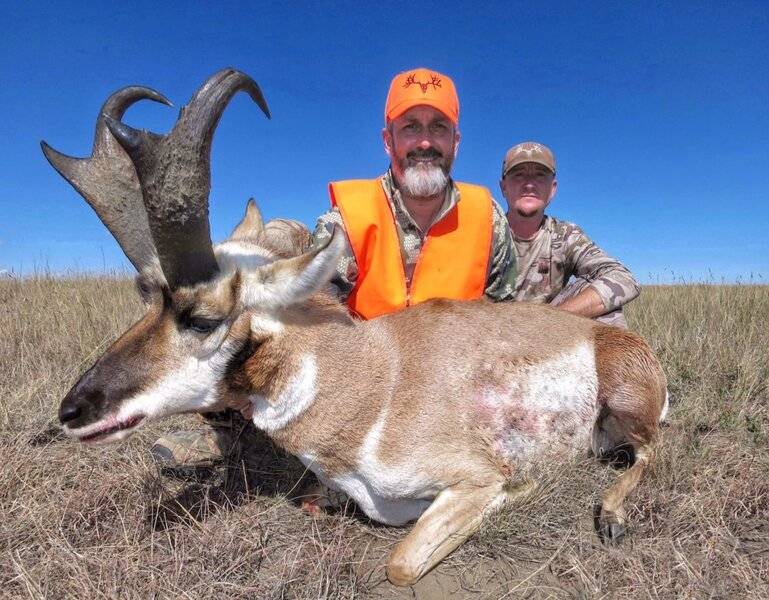 pronghorn.jpg