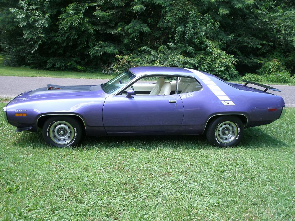 purplebird 035.jpg
