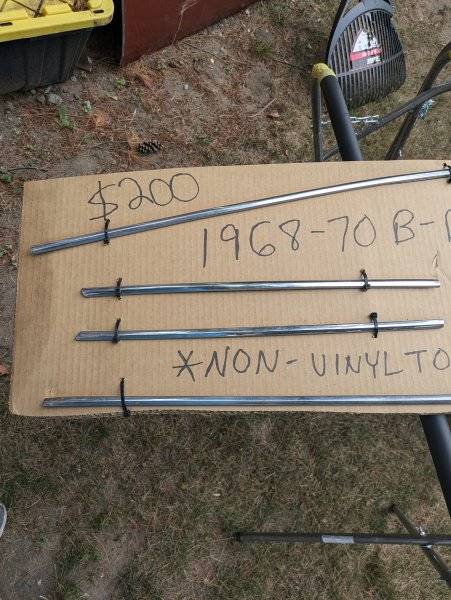 PXL_20240715_150127924.jpg