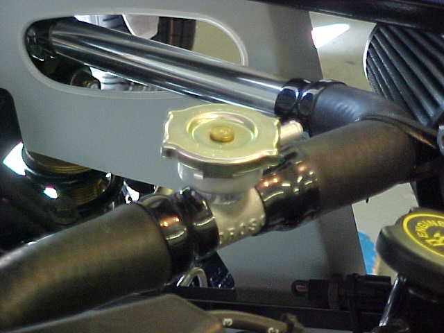 rad%20t-filler%20shrink.jpg