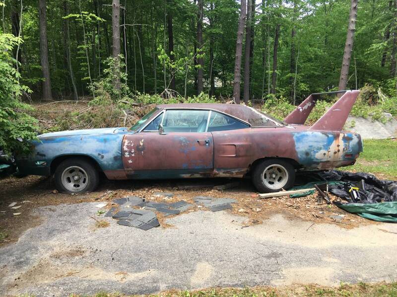 ratty-superbird-2.jpg