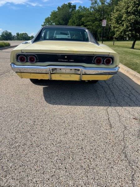 Rear.jpg