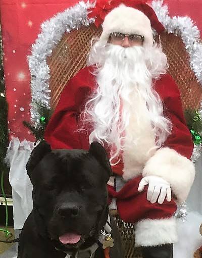 rebel santa.jpg