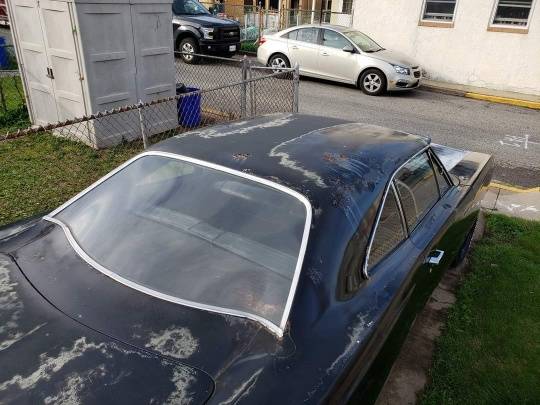 received_435975028745744_copy_540x405.jpeg