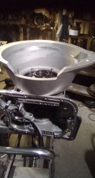 received_519841052051970-jpeg.jpg
