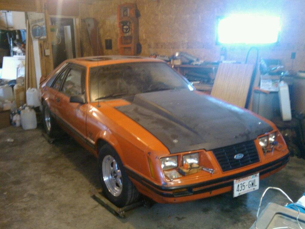 recent83pic.jpg