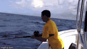 Reeling in fish.gif
