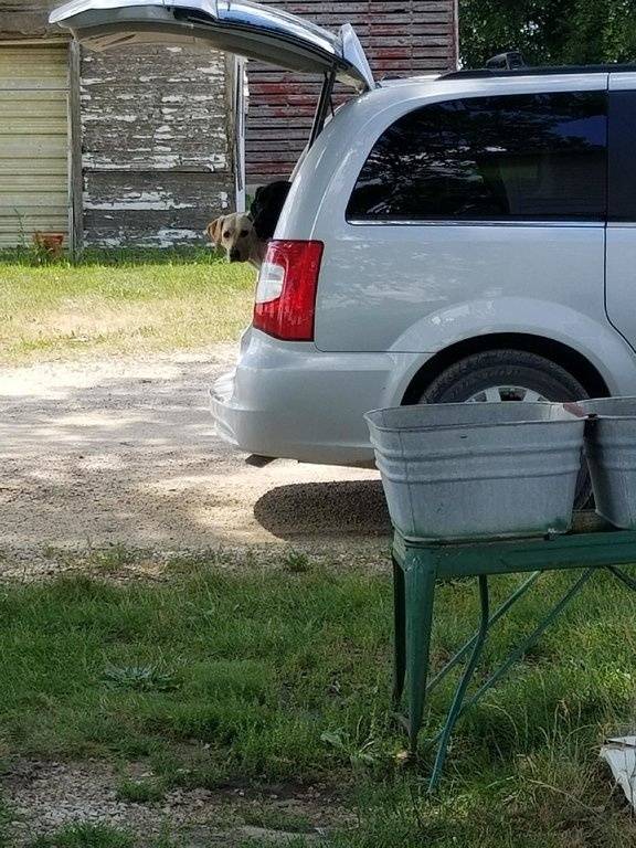 Resized_20170804_141235.jpeg