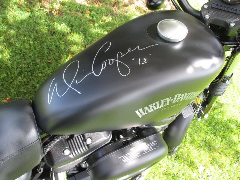 Rhonda Harley 5.JPG