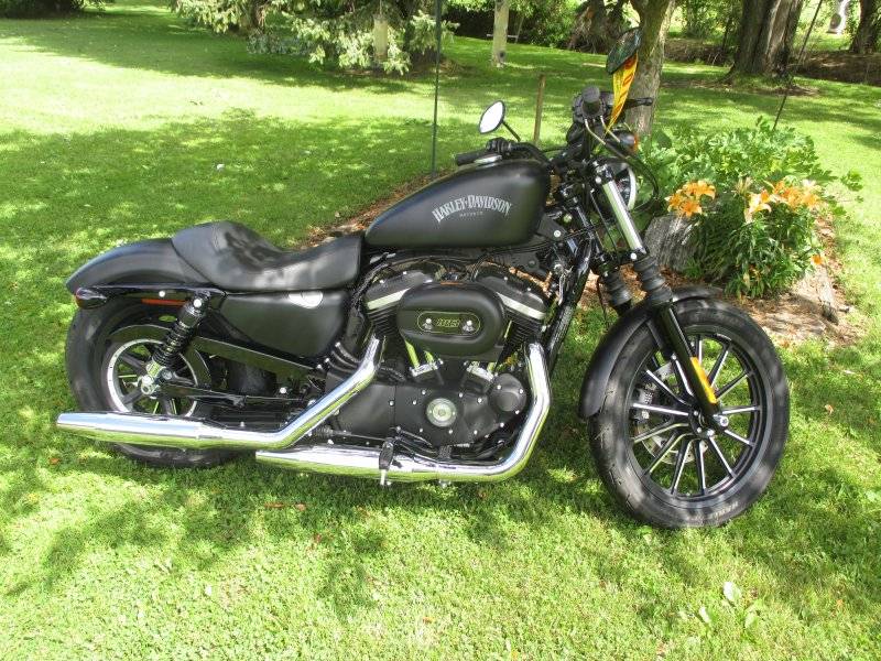 Rhonda Harley Harley-Fest winner.JPG