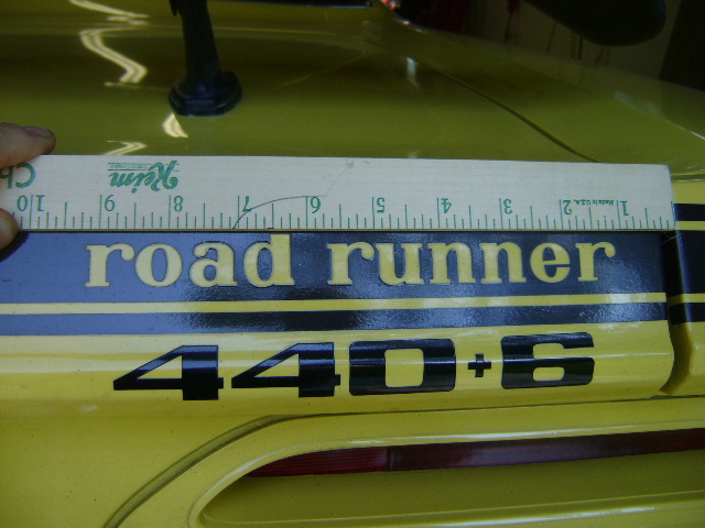 road runner 002.jpg