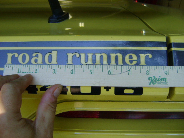 road runner 005.jpg